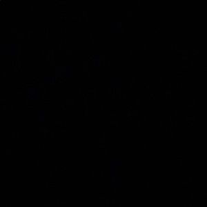 Meet your Posher, Ramtin